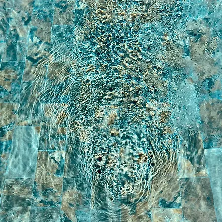 Grenadier By Intendance Excellency Cirendinu